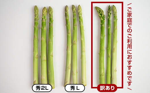 北海道今金町のふるさと納税 【先行予約】【訳あり】朝採れ新鮮アスパラ 1kg（S～2Lサイズ混合） (2026年3月下旬～6月中旬または2026年7月上旬～9月上旬頃発送) 野菜 北海道産 バーベキュー BBQ キャンプ 旬野菜 ワケあり わけあり アスパラガス 栄養満点 冷蔵発送 F21W-318