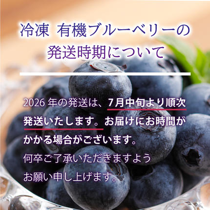 島根県邑南町のふるさと納税 【先行予約】冷凍 有機ブルーベリー 1.2kg（400g×3袋）