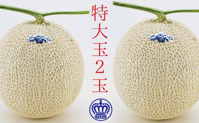 静岡県袋井市のふるさと納税 クラウンメロン（白等級）特大玉 ２玉入 果物類 メロン青肉