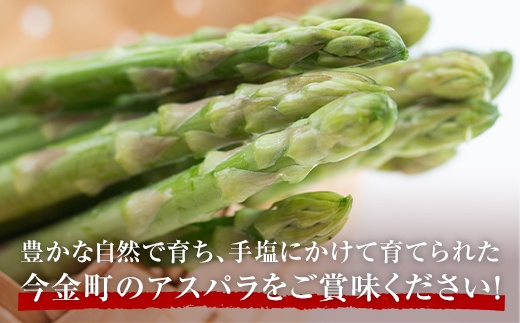 北海道今金町のふるさと納税 【先行予約】朝採れ新鮮アスパラ 750g（Mサイズ） (2026年3月下旬～6月中旬または2026年7月上旬～9月上旬頃発送)  野菜 秀品 北海道産 バーベキュー BBQ キャンプ 旬野菜 アスパラガス 栄養満点 冷蔵発送 F21W-457
