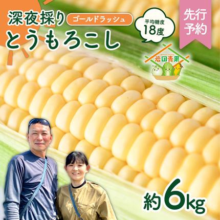 茨城県八千代町のふるさと納税 【先行予約 2026年6月中旬以降発送 】 【 令和8年産 】 深夜採り 朝出荷 とうもろこし （ ゴールドラッシュ ） 約 6kg トウモロコシ スイートコーン コーン 野菜 産地直送 期間限定 極甘 岩田さん 昼めし旅 [AX019ya]