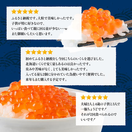 北海道羽幌町のふるさと納税 【10営業日以内発送！】 北海道産 天然秋鮭 いくら醤油漬け360g(180g×2)【0215801】