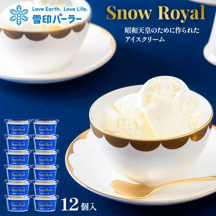 雪印パーラー スノーロイヤル 12個セット