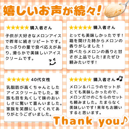 北海道羽幌町のふるさと納税 【Secoma】北海道アイスクリーム（メロン12個セット）【01102】