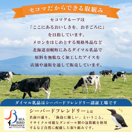 北海道羽幌町のふるさと納税 【Secoma】北海道アイスクリーム（メロン12個セット）【01102】