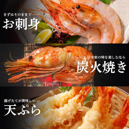 北海道羽幌町のふるさと納税 【訳あり】 ぼたんえび 1kg （小サイズ）【0512402】