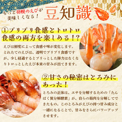 北海道羽幌町のふるさと納税 超速リキッド凍結でドリップゼロ！北海道羽幌産甘えび・ぼたんえびセット計1kg【0311701】