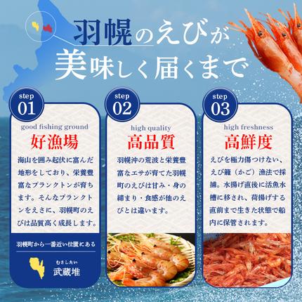 北海道羽幌町のふるさと納税 超速リキッド凍結でドリップゼロ！北海道羽幌産生鮮甘えび 600g（200g×3パック）【0312101】