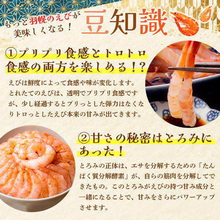北海道羽幌町のふるさと納税 超速リキッド凍結でドリップゼロ！北海道羽幌産生鮮甘えび 600g（200g×3パック）【0312101】