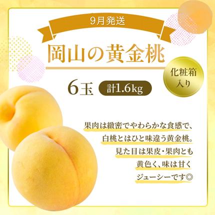 桃 定期便 2026年 先行予約 岡山 の 桃 食べ比べ 3回コース もも モモ