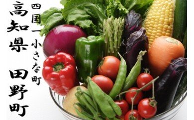 高知県田野町のふるさと納税 四国一小さな町の特産品詰め合わせセット 野菜 詰め合わせ セット 季節の野菜 旬の野菜 旬 特産 新鮮 田野町 道の駅 サラダ 根菜 やさい お楽しみ 野菜セット 特産品 常温 冷蔵