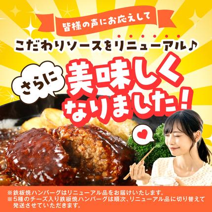 福岡県飯塚市のふるさと納税 デミソースのハンバーグ2種セット（プレーン8個＆チーズ8個）計16個【A6-030】