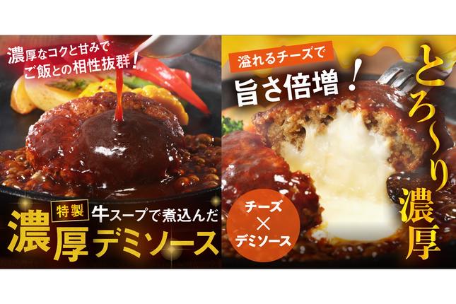 福岡県飯塚市のふるさと納税 デミソースのハンバーグ2種セット（プレーン8個＆チーズ8個）計16個【A6-030】