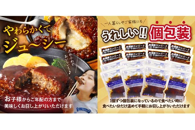 福岡県飯塚市のふるさと納税 デミソースのハンバーグ2種セット（プレーン8個＆チーズ8個）計16個【A6-030】