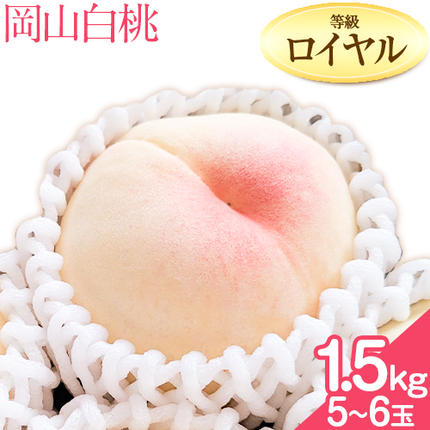[2026年先行予約]岡山の白桃 等級 ロイヤル 約1.5kg(5〜6玉) 清水白桃 おかやま夢白桃 白鳳 白麗 なつおとめ 晴れの国 岡山農業協同組合 鴨方支店 [7月上旬-7月末頃出荷]岡山県 浅口市 岡山県産 白桃 桃 もも 果物 フルーツ ギフト ご贈答 送料無料[配送不可地域あり]