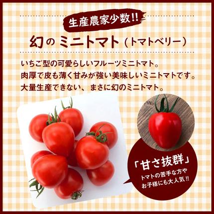 先行受付 個数限定 11月?6月 毎月発送 幻のミニトマト ミニトマト