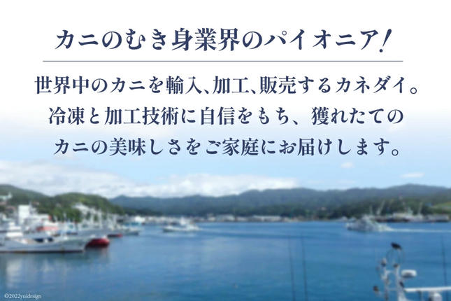 宮城県気仙沼市のふるさと納税 ノルウェー産 アトランティックサーモン 総重量 1kg (正味重量850g) [カネダイ 宮城県 気仙沼市 20565509] 魚 魚介類 サーモン 刺身 生食 生 アトランティック アトラン 小分け 冷凍 鮭 さけ 訳あり ノルウェー