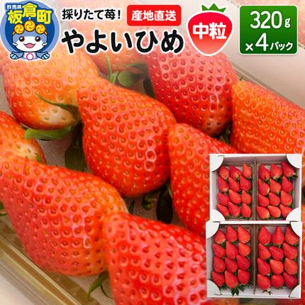 いちご（やよいひめ）中粒 4パック 採りた