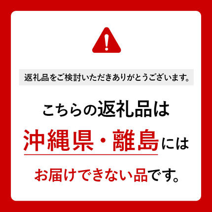 群馬県板倉町のふるさと納税 いちご（やよいひめ）中粒 4パック 採りたて苺！産地直送 イチゴ ストロベリー 生
