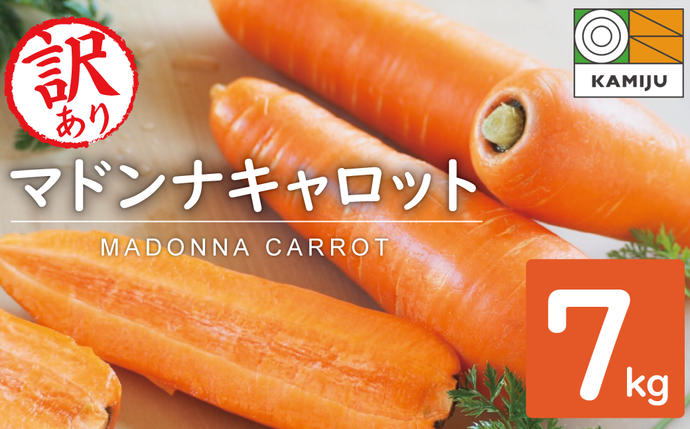 愛知県碧南市のふるさと納税 【予約受付】＜フジテレビ『どっちのふるさと？』で紹介されました！＞ 訳あり 冬期限定 にんじん マドンナキャロット 容量 7kg 先行予約 国産 甘い フルーツのような味わい お子様にもおすすめ 栄養 神重農産 野菜 愛知県 碧南市 送料無料 H105-135