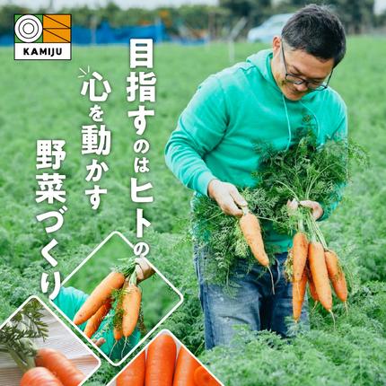 愛知県碧南市のふるさと納税 【予約受付】＜フジテレビ『どっちのふるさと？』で紹介されました！＞ 訳あり 冬期限定 にんじん マドンナキャロット 容量 7kg 先行予約 国産 甘い フルーツのような味わい お子様にもおすすめ 栄養 神重農産 野菜 愛知県 碧南市 送料無料 H105-135