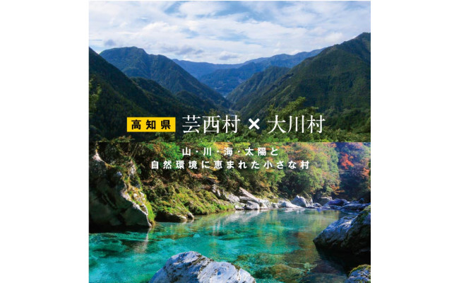 高知県芸西村のふるさと納税 ZZ111-NT　【芸西村と大川村の共通返礼品】芸西村 海鮮丼の素セット【個別発送】＆大川村 土佐はちきん地鶏ムネ肉セット