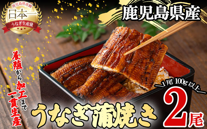 鹿児島県志布志市のふるさと納税 桜林養鰻のうなぎ蒲焼 計200g以上(100g以上×2尾) a3-195
