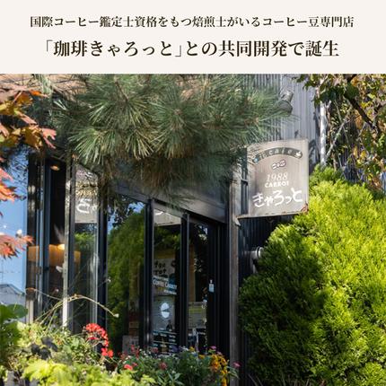 兵庫県加西市のふるさと納税 アラジン  ブラック 黒  コーヒーブリュワー ACO-D01AF Aladdin コーヒーメーカー 珈琲 コーヒー ドリップコーヒー 調理家電 キッチン家電 家電 電化製品 日用品