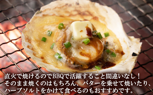 北海道鹿部町のふるさと納税 【北海道産】 ハーフシェル ほたて片貝 1袋 650g (10枚前後) ウロ取り済み バラ冷凍 加熱調理用 ほたて ホタテ 帆立