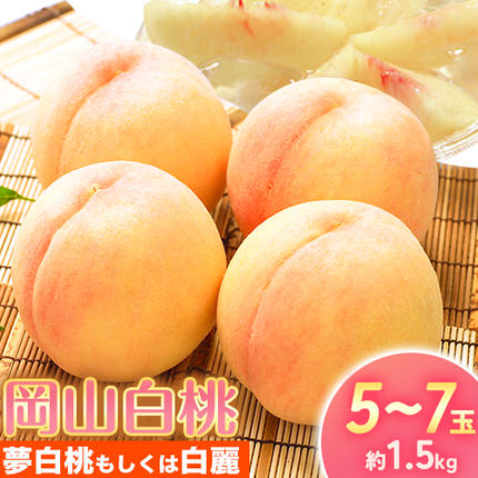 [2026年先行予約]桃 もも 岡山白桃 5〜7玉 約1.5kg 夢白桃もしくは白麗 岡山県産 環山堂株式会社[2026年7月下旬-8月上旬頃出荷]岡山県 浅口市 白桃 果物 フルーツ 送料無料[配送不可地域あり]