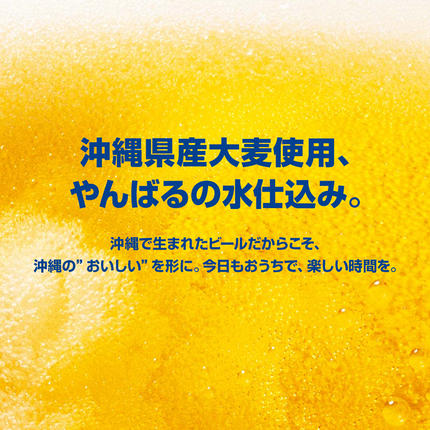 沖縄県南風原町のふるさと納税 オリオンビール　ザ・ドラフト（350ml×24缶）