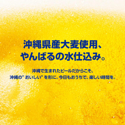 沖縄県南風原町のふるさと納税 オリオンビール　ザ・ドラフト（500ml×24缶）