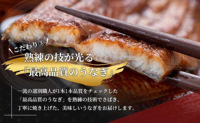 静岡県浜松市のふるさと納税 うなぎ 定期便 3ヶ月毎 国産 鰻 蒲焼 約110g× 2尾 浜名湖うなぎ 冷凍うなぎ 定期 4回