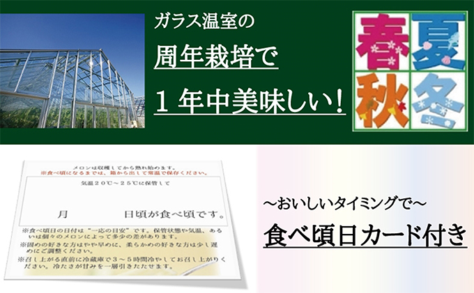 静岡県浜松市のふるさと納税 メロン 定期便 6ヶ月 クラウンメロン 白等級 1玉 フルーツ 果物 高級フルーツ 高級果物 季節のフルーツ 季節の果物 旬のフルーツ 旬の果物 フルーツ定期便 くだもの定期便 マスクメロン 青肉 静岡メロン 静岡県 浜松市 6回 定期 【配送不可：離島】