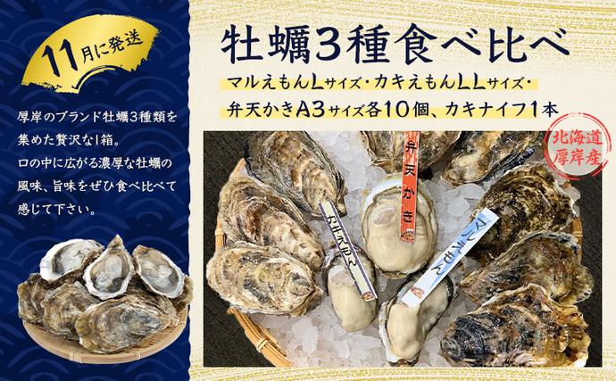 北海道厚岸町のふるさと納税 厚岸の魅力大集合 季節 定期便 全5回お届け 牡蠣 蟹 海老 ホタテ 昆布巻 海鮮 魚貝類 魚貝 海産 海産物