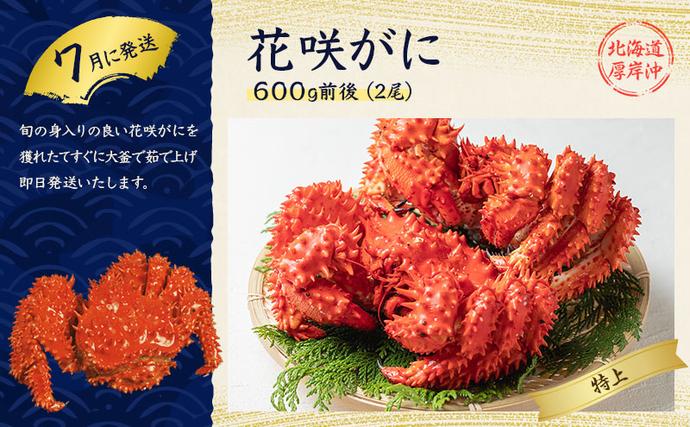 北海道厚岸町のふるさと納税 厚岸の魅力大集合 季節 定期便 全5回お届け 牡蠣 蟹 海老 ホタテ 昆布巻 海鮮 魚貝類 魚貝 海産 海産物