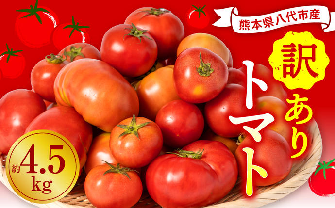 【先行予約】 訳ありトマト 約4.5kg 