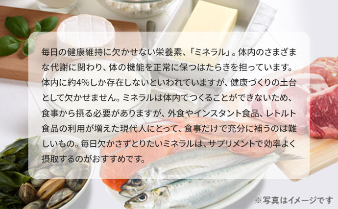岐阜県池田町のふるさと納税 DHCマルチミネラル 30日分 3個セット（90日分）