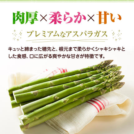 香川県東かがわ市のふるさと納税 アスパラガス【さぬきのめざめ】3L・2Lサイズ1kg 野菜 夏野菜