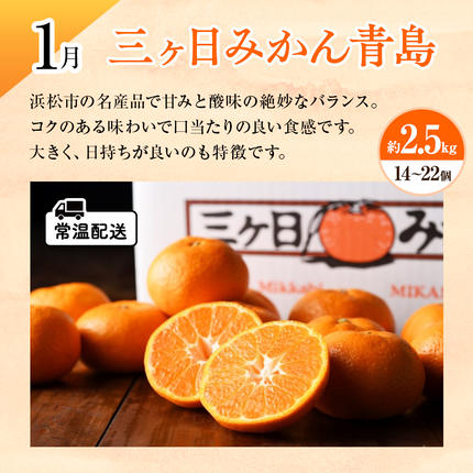 静岡県浜松市のふるさと納税 【2027年1月中旬より発送】 フルーツ 定期便 2ヶ月 三ヶ日みかん 紅ほっぺ フルーツ定期便 青島みかん みかん いちご 果物 旬のフルーツ 旬の果物 季節のフルーツ 静岡 静岡県 浜松市 2回 定期 【配送不可：離島】