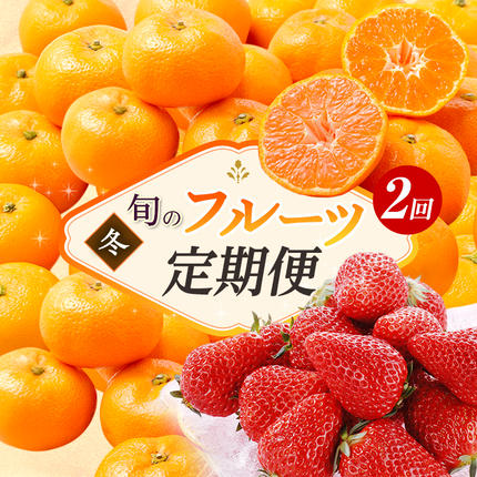 【2027年1月中旬より発送】 フルーツ 