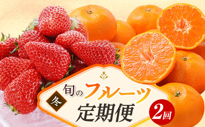 静岡県浜松市のふるさと納税 【2026年1月中旬より発送】 フルーツ 定期便 2ヶ月 三ヶ日みかん 紅ほっぺ フルーツ定期便 青島みかん みかん いちご 果物 旬のフルーツ 旬の果物 季節のフルーツ 静岡 静岡県 浜松市 2回 定期 【配送不可：離島】