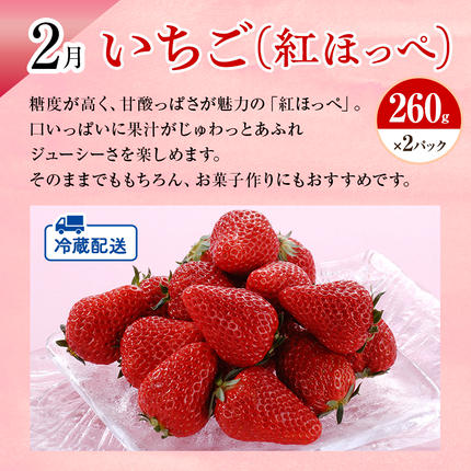 静岡県浜松市のふるさと納税 【2026年1月中旬より発送】 フルーツ 定期便 2ヶ月 三ヶ日みかん 紅ほっぺ フルーツ定期便 青島みかん みかん いちご 果物 旬のフルーツ 旬の果物 季節のフルーツ 静岡 静岡県 浜松市 2回 定期 【配送不可：離島】