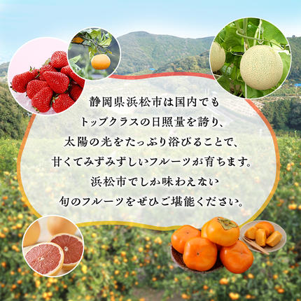 静岡県浜松市のふるさと納税 【2027年1月中旬より発送】 フルーツ 定期便 2ヶ月 三ヶ日みかん 紅ほっぺ フルーツ定期便 青島みかん みかん いちご 果物 旬のフルーツ 旬の果物 季節のフルーツ 静岡 静岡県 浜松市 2回 定期 【配送不可：離島】