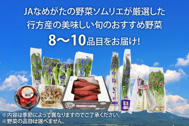 茨城県行方市のふるさと納税 AE-24 『行方かんしょ』入り【6ヶ月定期便】JAなめがたしおさい 季節の野菜セット（毎月1回 計6回発送）