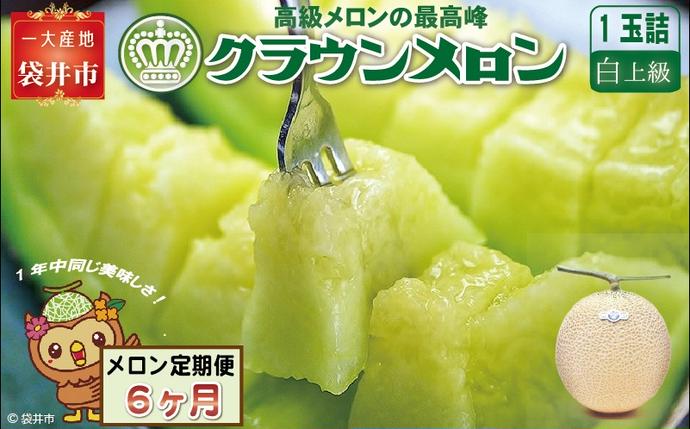 静岡県袋井市のふるさと納税 【６ヶ月定期便】クラウンメロン（白上級）１玉入