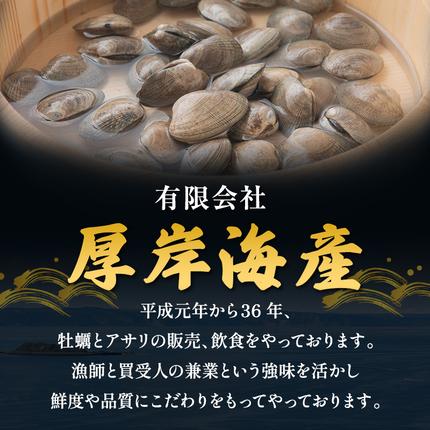 北海道厚岸町のふるさと納税 あさり 訳あり 北海道 厚岸産 砂出し済み 活あさり 500g×2 (合計1kg) 【厚岸海産】[ アサリ 魚貝 海鮮 大粒 美味しい 栄養 旨み 砂出し 水洗い 冷蔵 便利 ]