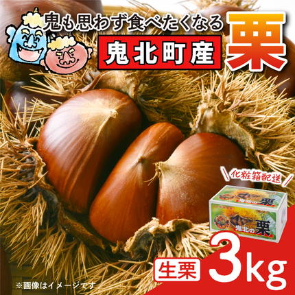 [鬼の栗拾い]鬼北町産くり 約3kg | 大粒 生栗 和栗 国産栗 地域限定 丹波栗 くり 栗 栗ご飯 生栗 果物 フルーツ 先行予約 数量限定 「JA」・「えひめ南農業協同組合」※離島への配送不可 ※2026年9月〜発送