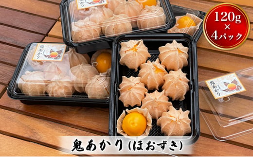 鬼あかり（ほおずき）120g×4パック ｜ 鬼灯 ホウズキ 特産品 ジャム