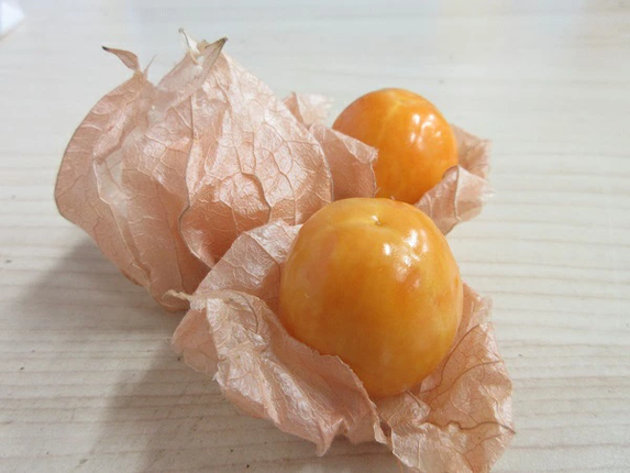 鬼あかり（ほおずき）120g×4パック ｜ 鬼灯 ホウズキ 特産品 ジャム